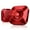 Red, variant on AuroraLink Automotive Decorative Interior Hardware and Accessories Gray