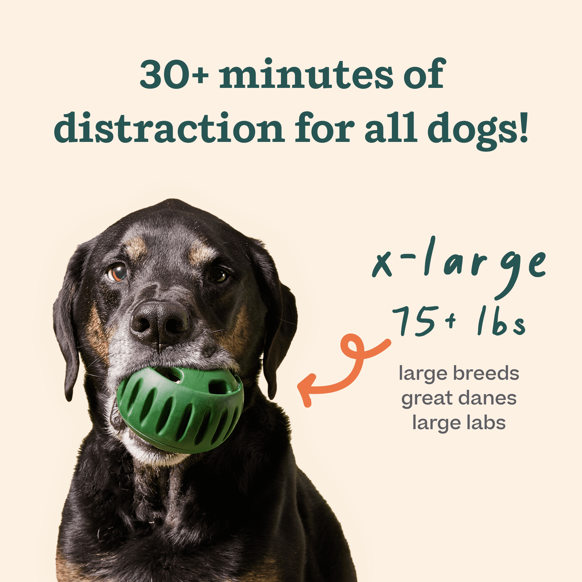 Woof The Pupsicle Treat Dispensing Dog Toy, Forest Green, X-Large
