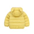 thumbnail image 2 of 1-6Y Toddler Boys Girls Winter Warm Hooded Puffer Coat Jacket Kids Casual Zipper Thickened Snow Clothes Overcoat Outerwear With Pockets, 2 of 7