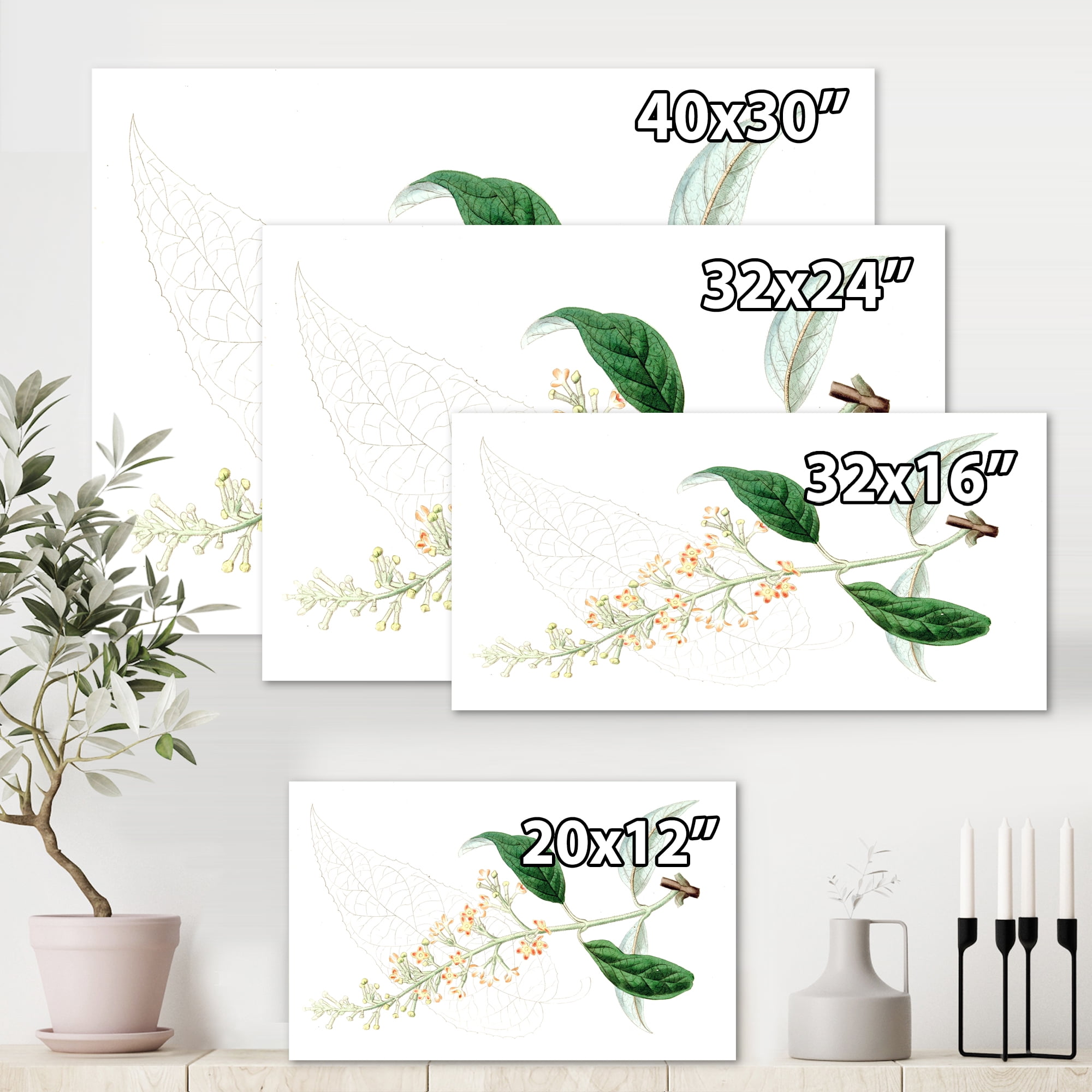 Designart ' Ancient Plant Life XXVII ' Traditional Canvas Wall Art Print