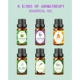 thumbnail image 2 of WANNGWE One Recipe Essential Oil 6 Pack Set Massage Aromatherapy Essential Oil MR97-844, 2 of 3