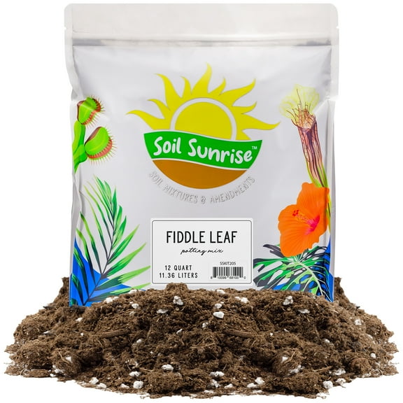 Premium Fiddle Leaf Fig Tree Soil (12 Quarts) - Expert Formula for Vibrant Growth - Nutrient-Rich Potting Mix, Specifically Designed for Healthy Indoor, Outdoor, and Potted Fiddle Fig Plants