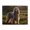 500 Pieces, variant on Afghan Hound Sunlight Field 500-Piece Wooden Jigsaw Puzzle for Adults, Fun & Challenging Family Brain-Teaser, Perfect Home Decor & Gift