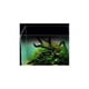 thumbnail image 1 of Push Hatchery Polietileno Arylic100L Oxígeno Pesca Rocas Cerámica Color Stock Decoración Weifang Fish Tank Sincero Hogar, 1 of 6