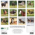 thumbnail image 2 of Willow Creek Press, Clydesdales Horses 2025 Wall Calendar, 2 of 4