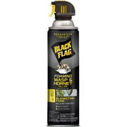 Black Flag Foaming Wasp & Hornet Killer Aerosol Spray - Kills by Contact - 14 Ounce