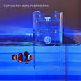 thumbnail image 3 of BQBQERT Aquarium Fish Feeder Arcylic Floating Food Feeding Betta Fish for Feed, 3 of 12