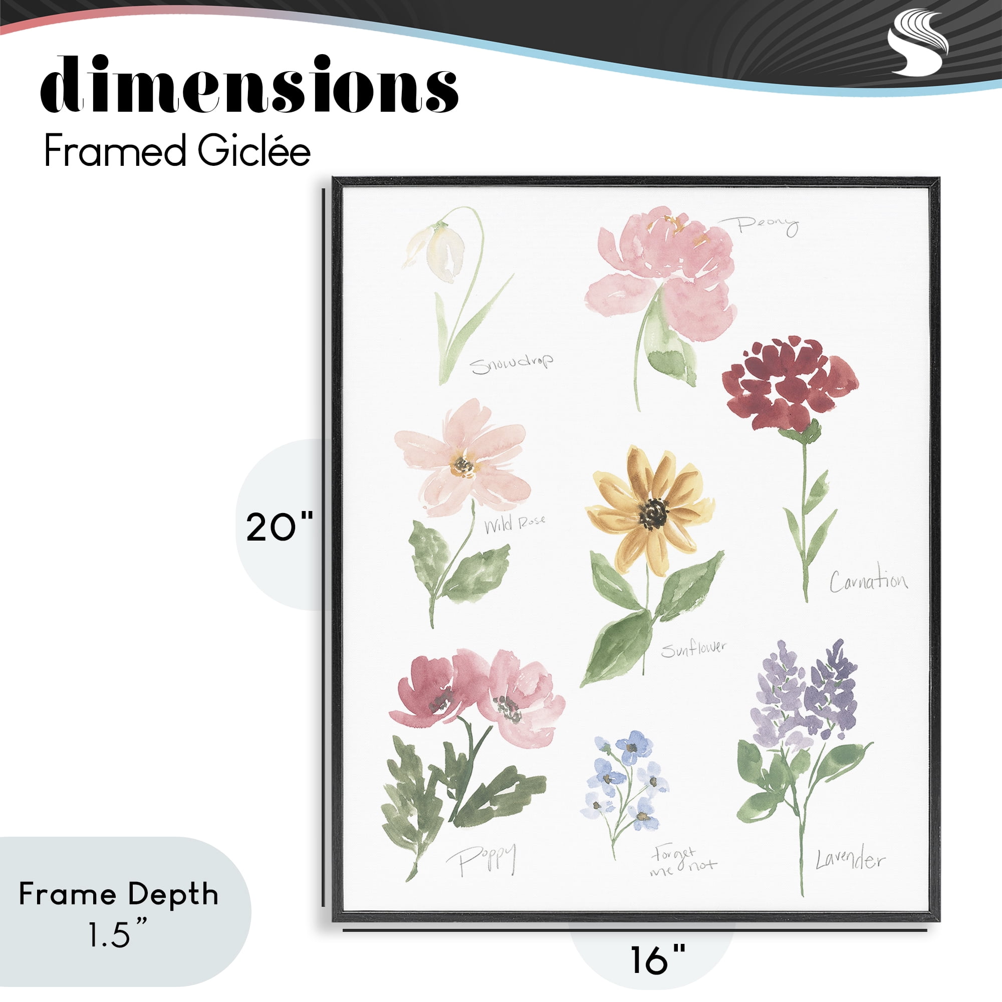 Stupell Industries Labeled Flower Varieties Black Framed Giclee Art, design by Lucille Price