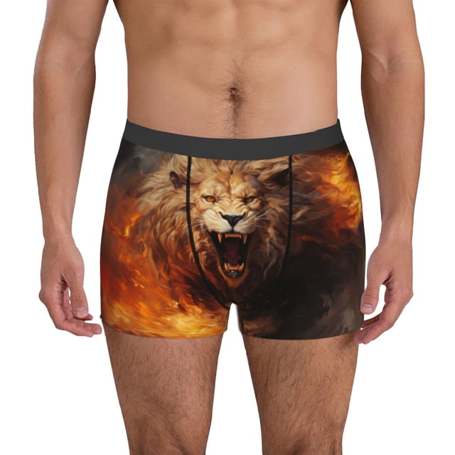 Fotbe Cool Fire Lion Calzoncillos Tipo Boxer con Bolsa de Soporte Total para Hombre, X-Temp Fresco, Transpirable y de Secado Rápido-Large