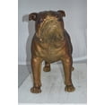 thumbnail image 5 of Nifao Bulldog Medium Bronze Statue – Home Decor Sculpture, 29"L x 11"W x 20"H, 5 of 11