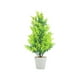 thumbnail image 2 of Xihbxyly Ofertas Relámpago de Hoy Prime Por Hora Simulacración de Cedro Pinaster Pequeño de Navidad, Simulación de Hoja de Cedro Pinaster Artificial, Planta Verde, Bonsái, Adornos En Maceta para Sala, 2 of 6