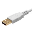 thumbnail image 2 of Monoprice - USB cable - USB (M) to USB Type B (M) - USB 2.0 - 3 ft - booted, molded - white, 2 of 3