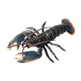 thumbnail image 4 of Figuras de animales, modelos de animales marinos, animales marinos, animales , figuras de animales, modelos de animales, juguetes para regalo langosta, 4 of 10