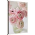 thumbnail image 4 of Kate and Laurel Delicate Pink Ranunculus Flower Bouquet Framed Canvas Wall Art  by Kristybee 23 x 33 Sylvie Beaded White, Casual Transitional, Flowers, Still Life Art for Wall Decor, Living Room, 4 of 8