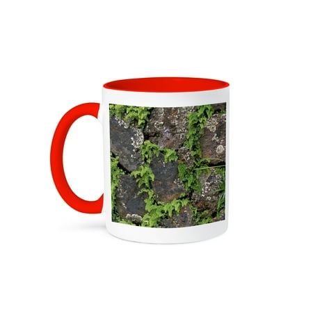 3drose, Peru, Cuzco, Pisac, Ferns and Ruins, Flora - Sa17 Amr0068 - Andres Morya Hinojosa, 11oz Two-tone Red Mug
