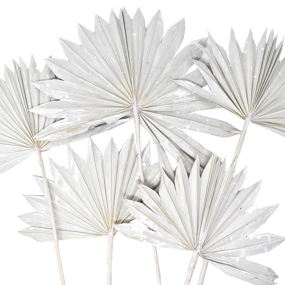 Dried Natural Sun Palm Leaves Bundle, White Wash, 5Piece