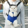 thumbnail image 4 of Mesh Pet Backpack Carrier with Breathable Design, Ergonomic Shoulder Straps, Transparent Window, Durable Construction for Small Dogs and Cats, Outdoor Travel Accessory, 4 of 9