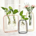 thumbnail image 3 of Coofit Glass Planter Simple Multi-purpose Glass Vase Flower Vase Table Decor for Home, 3 of 4