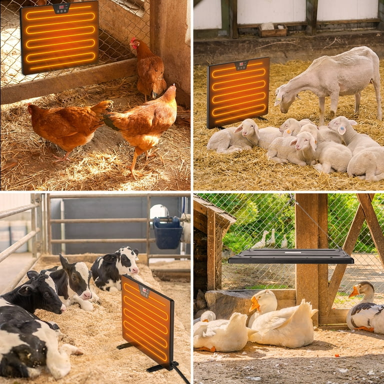 Keten Chicken Coop Heater, 100/200 Watts Radiant Heat Energy Efficient  Design, 3 Ways to Use, Safer Than Brooder Lamps Heater with Digital Display  and