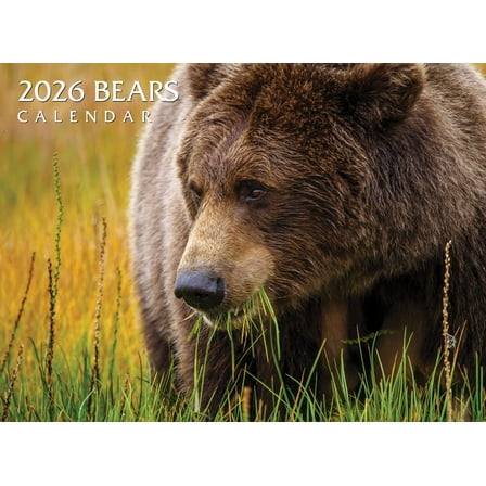 2026 Bears Calendar
