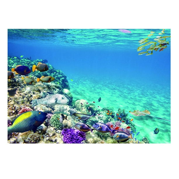 Sided Digital Print Aquarium Background Backdrop Fish Tank Poster