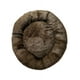 thumbnail image 2 of Cama Antiestres Lunics Chica Café, 2 of 8