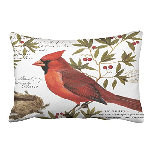 Rylablue Modern Multicolor Vintage Bird Winter Cardinal Handdrawn Painting Polyester 20 X 30 Inch Rectangle Throw Pillow Covers With Hidden Zipper Home Sofa Cushion Decorative Pillowcases Walmart Canada