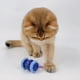 thumbnail image 5 of Juguetes Recargables para Gatos, Juguetes Interactivos Automáticos para Evitar Obstáculos, Diseño Inteligente, Accesorios para Gatos, Color Cian y Azul., 5 of 6