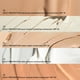 thumbnail image 2 of Kit de 5 piezas Sunscreen IMAGE Skincare DAILY PREVENTION, 2 of 8