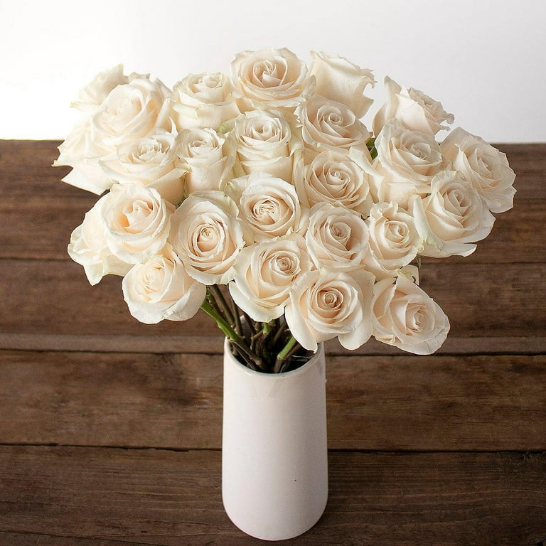 Bulk Flowers Fresh Cream Roses - 50 Piece(s) 
