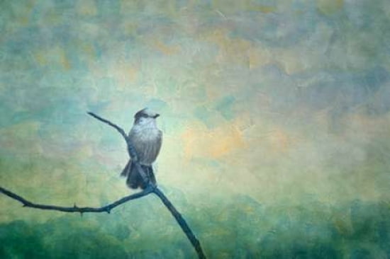 On A Branch Canvas