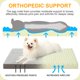 thumbnail image 2 of Cama ortopédica para perros KSIIA, impermeable, para perros pequeños, 2 of 6