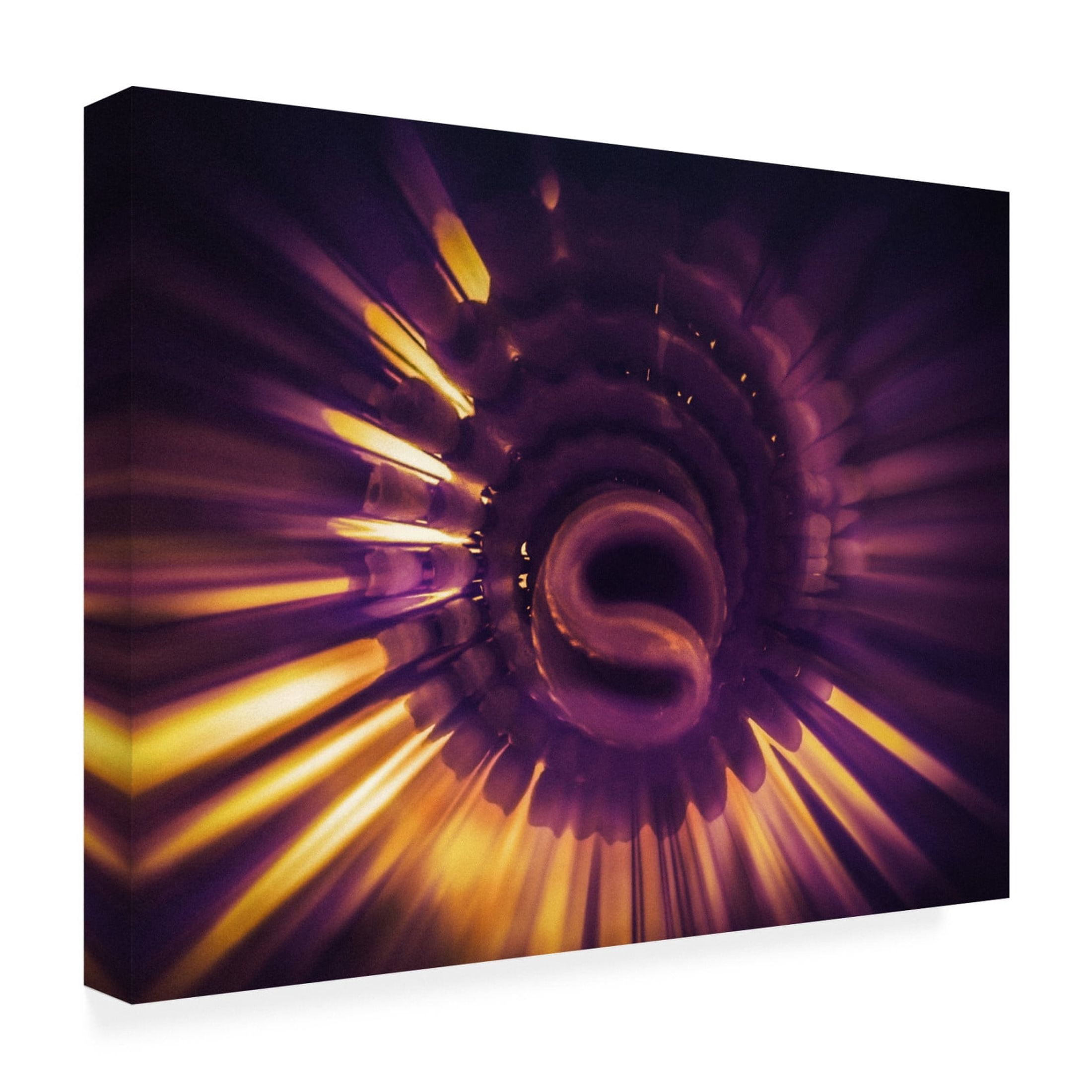 Canvas Wall Art - Ingo Menhard 'Pro Sun' Wall Art for Living Room, Bedroom, or Office D?cor by Trademark Fine Art - 47 x 35 Inches