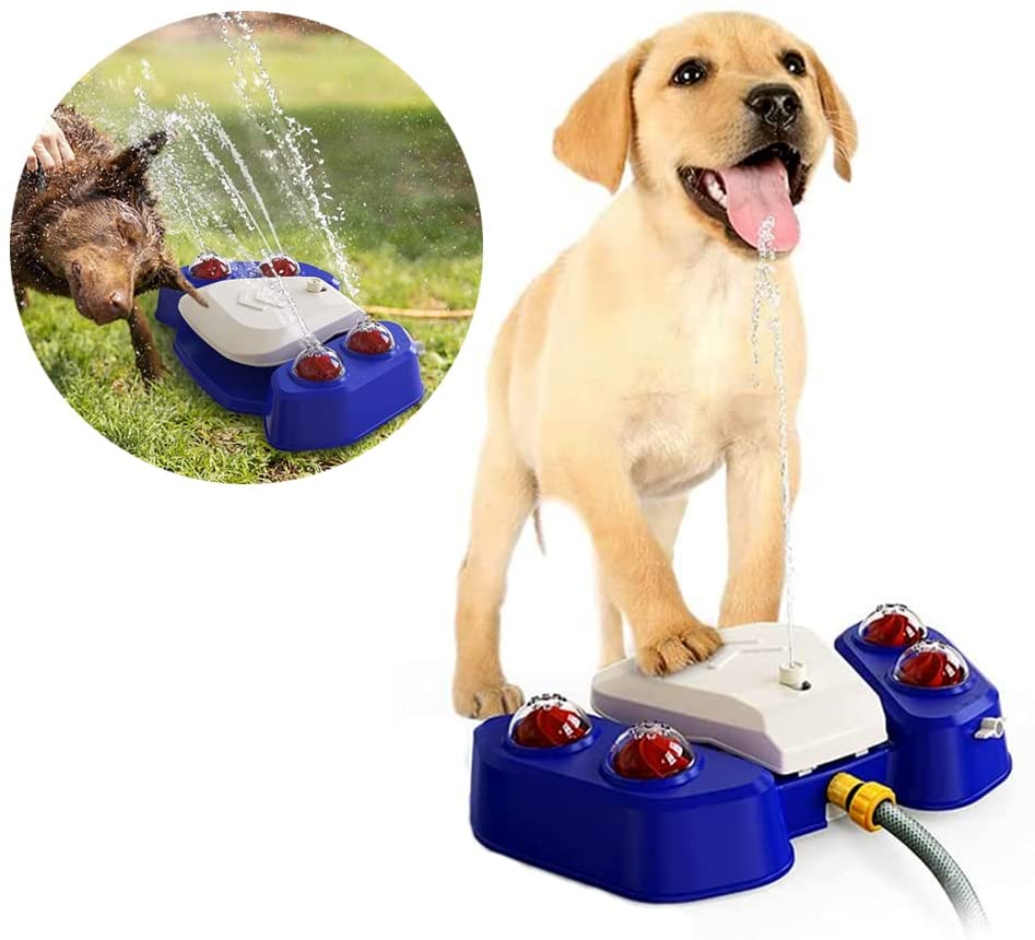 dog paw sprinkler toy