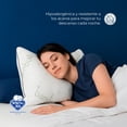 thumbnail image 3 of Almohada Ajustable Spring Air Memory Foam Coozy Bamboo., 3 of 5
