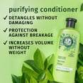 thumbnail image 3 of Herbal Essences Classics Clarifying Tea Tree Conditioner 13.5 fl oz, 3 of 11