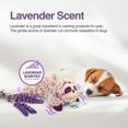 thumbnail image 3 of All For Paws Puppy Plush Snuggling Toy with Squeaker, Lavender Scented Dog Sleep Aid & Anxiety Relief Toy, Sloth, 3 of 7