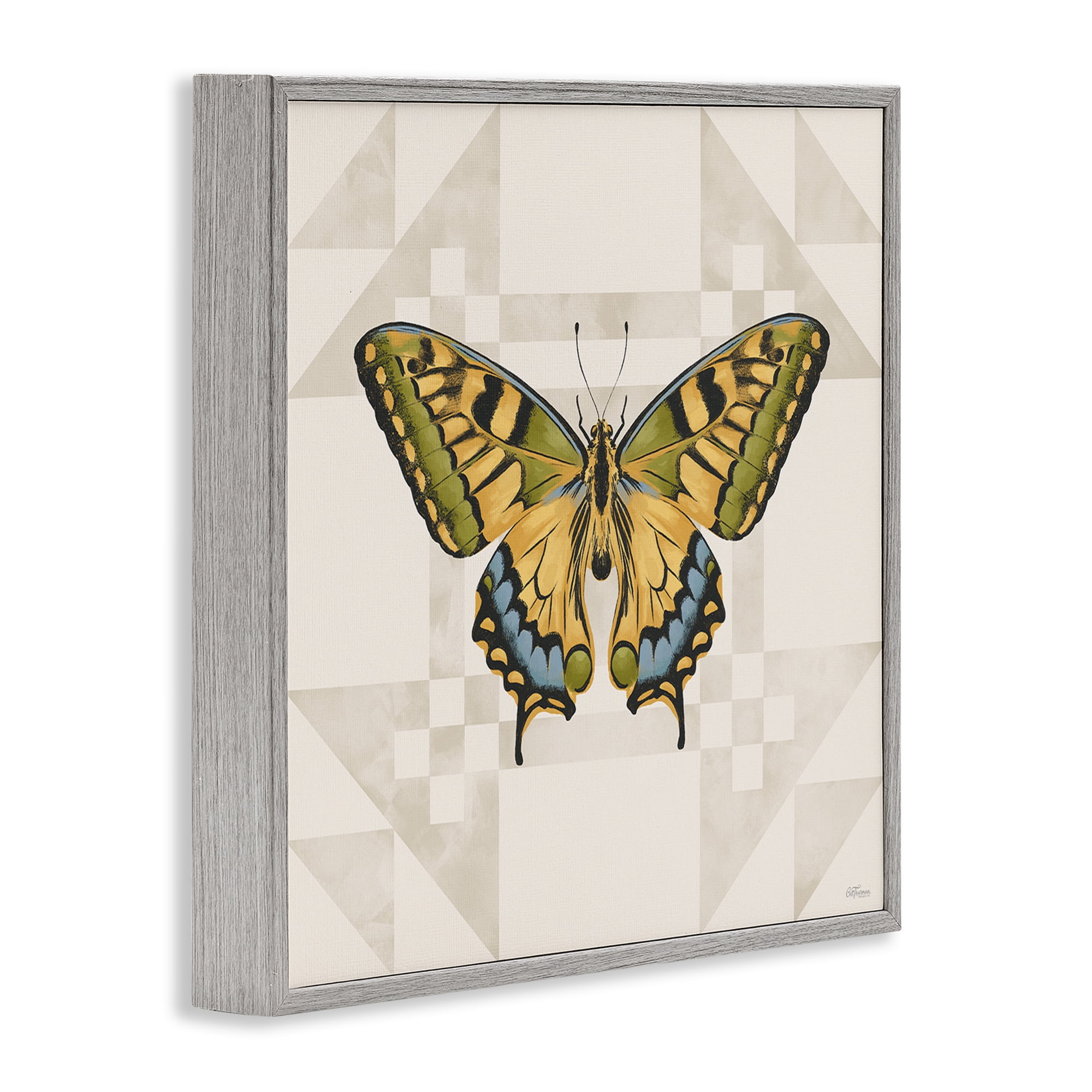 Stupell Industries Green Swallowtail Butterfly Gray Framed Giclee Art, design by Cat Thurman Designs
