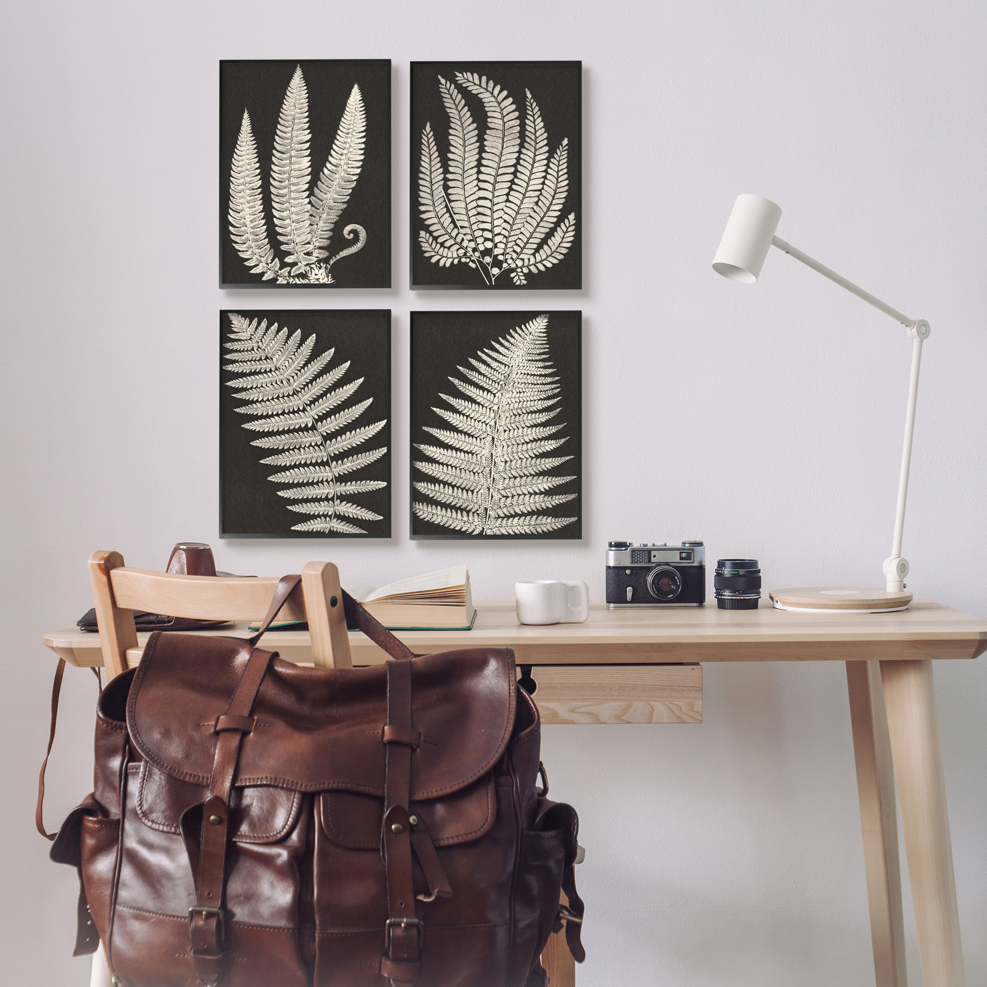 Stupell Vintage Nature Fern Leaf Silhouettes Botanical & Floral Painting Black Framed Art Print Wall Art, Set of 4