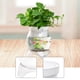 thumbnail image 3 of Desktop Pecera Maceta Hidropónica Acuario Terrario Decorativo con Material PET Transparente y Tapa Selada para Plantas y Peces Adecuada para Escritorio Decoración del Hogar Sala 235 cm x 31 cm, 3 of 8