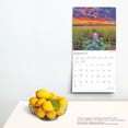 thumbnail image 5 of Florida Wild & Scenic 2025 12 X 24 Inch Monthly Square Wall Calendar Plastic-Free (Wall), 5 of 9