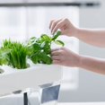 thumbnail image 4 of Back to the Roots 3 Gal. Self-Cleaning Aquaponic Water Garden Fish Tank Aquarium, 4 of 6