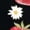 Black-1, variant on Women Casual Strawberry Daisy Pattern Graphic Tees Cotton Crew Neck Printed T Shirt Tops Black S-5XL