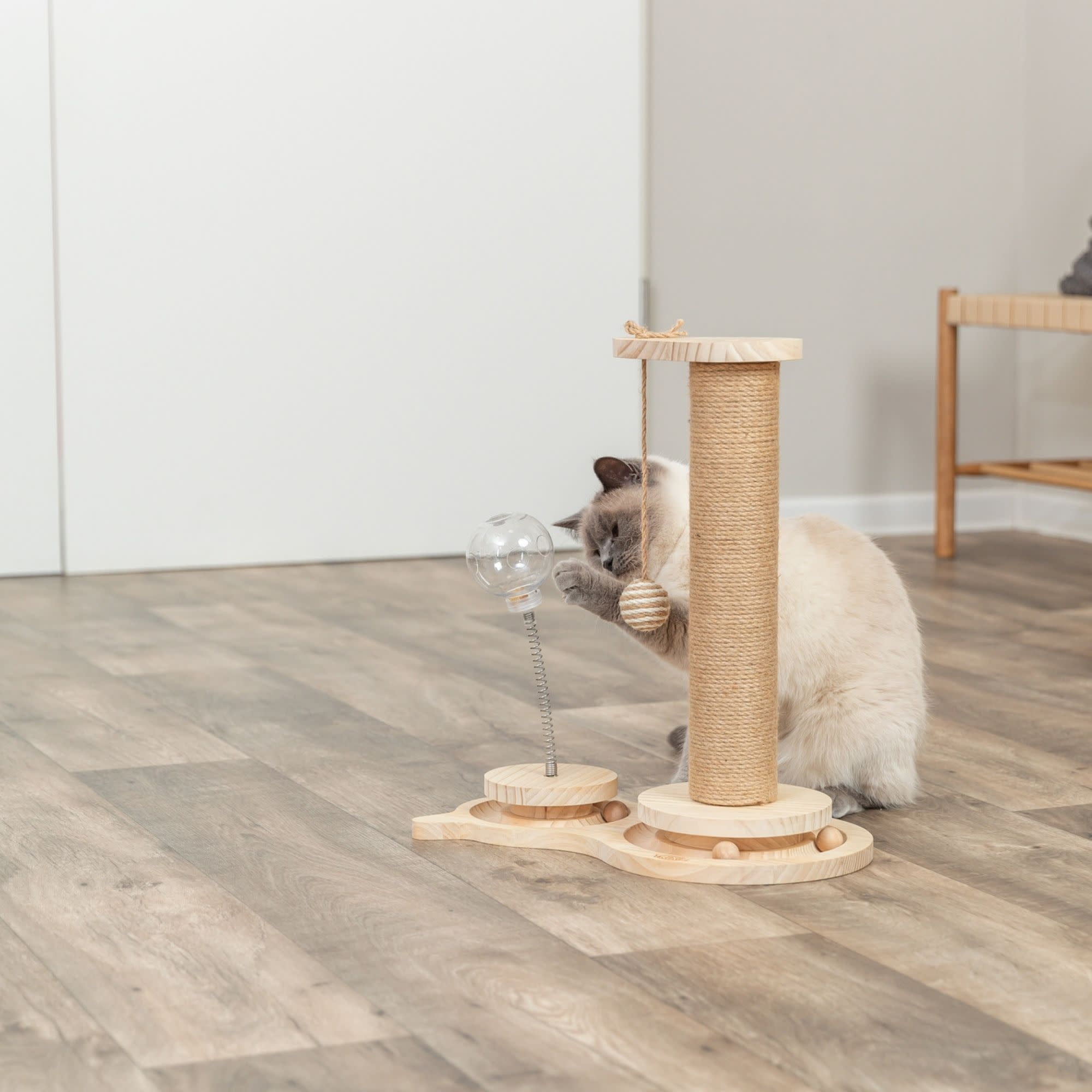 TRIXIE Oliver Interactive Cat Scratching Post w/ Treat Cup, Wooden Track & Hanging Ball