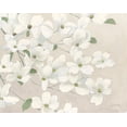 thumbnail image 2 of Wiens, James 24x20 White Modern Wood Framed Museum Art Print Titled - Dogwood Delight Cream, 2 of 4