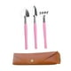 thumbnail image 3 of Herramientas de jardinería mini de hojas de rastrillo de mano con bolsa de almacenamiento de cuero PU Herramientas de plantación práctica para macetas Rosa, 3 of 8
