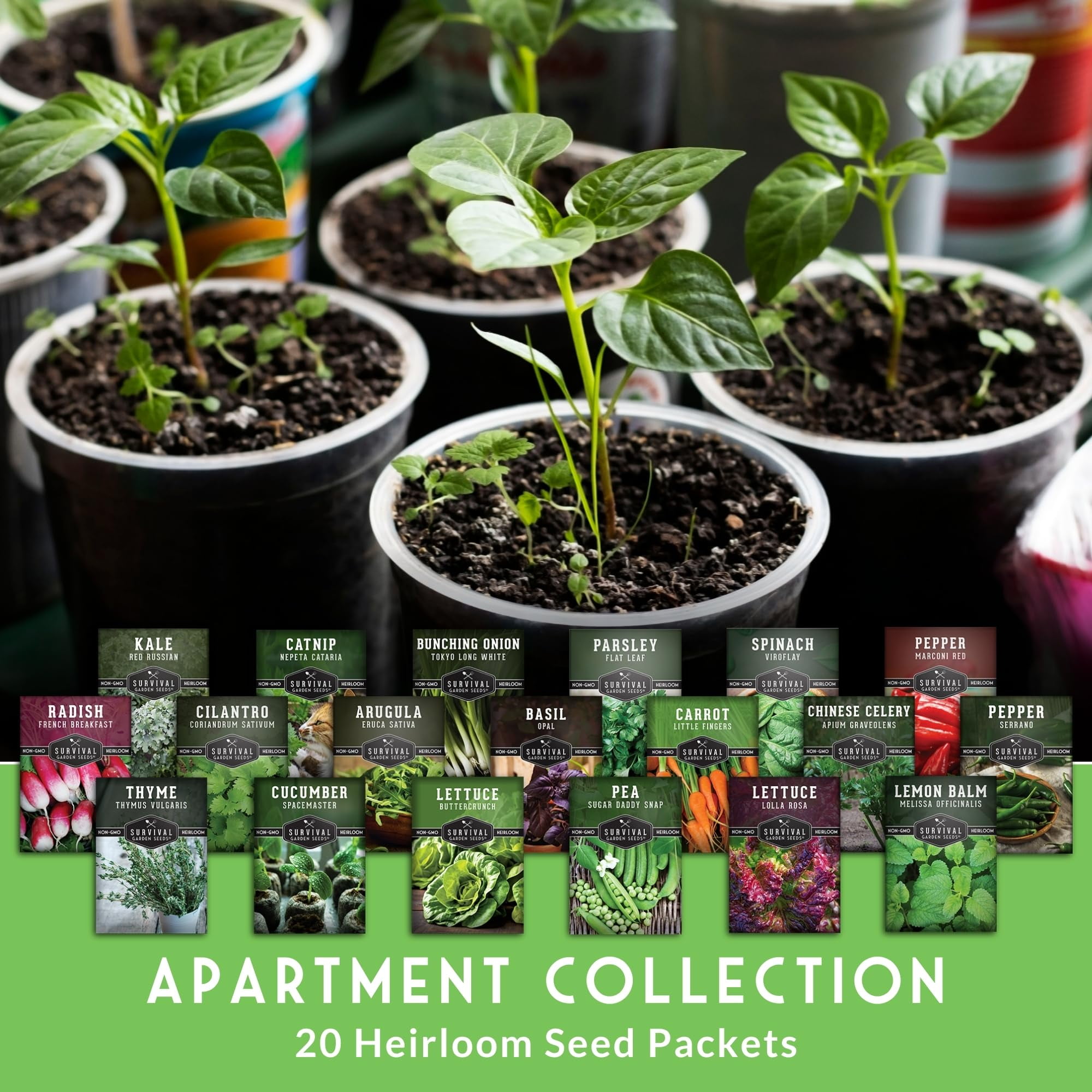 20 Pack Apartment Seed Kit - Heirloom Vegetable Seeds - Container Friendly Part & Full Sun Annuals