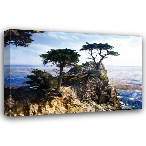 Alan Hausenflock 32x23 Gallery Wrapped Canvas Wall Art Titled - Lone Cypress II