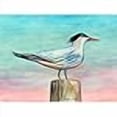 thumbnail image 2 of Betsy Drake DM951 Royal Tern 18 x 26, 2 of 2