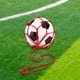 thumbnail image 1 of Red para Balón de Fútbol KICKER, Entrenador de Patadas de Fútbol, Equipo de Ayuda para Entrenamiento, Entrenador de Malabarismo de Nailon para Rojo, 1 of 8